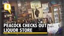 Peacock Gets Into a Wine Shop, Smashes $500 Worth Booze Bottles