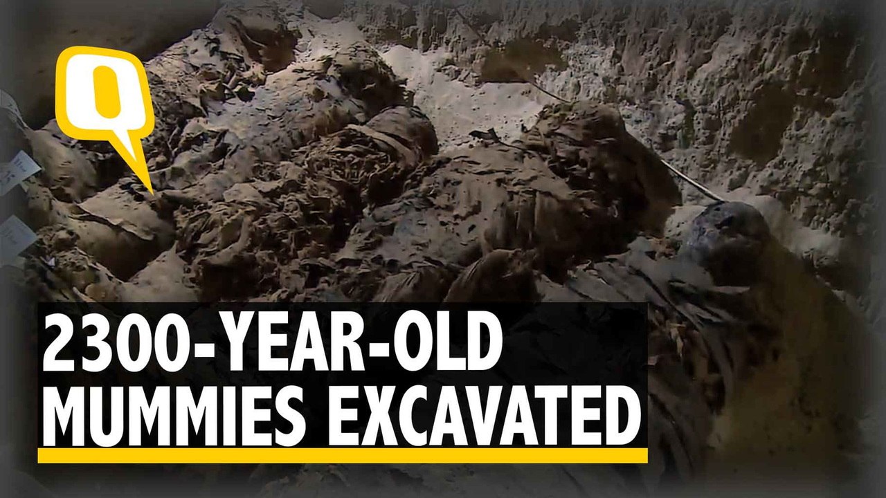 Archaeologists Unearth Mummies in Egypt Necropolis