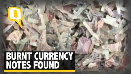 Piles of Rs 500 & Rs 1,000 Notes Found Burnt in Bareilly