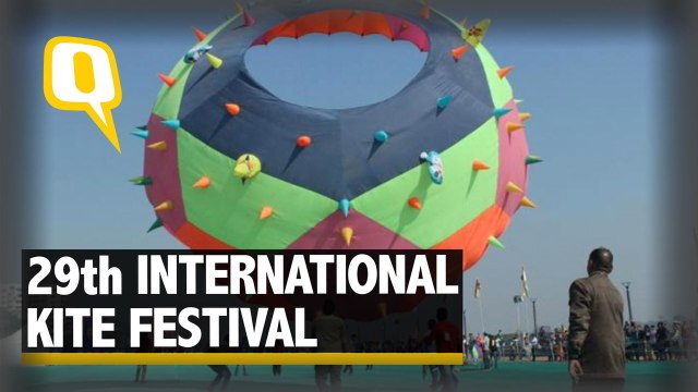 Kites Colour the Skies During the International Kite Festival