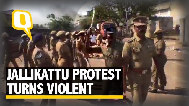BBC Journo Thrashed by Cops, Jallikattu Protests Turn Violent