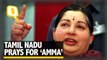 Get Well Soon Jayalalithaa! Tamil Nadu Prays for ‘Amma’s’ Health