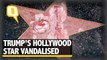 Donald Trump’s Star on Hollywood Walk of Fame Vandalised