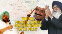 In Captain’s Footsteps: The Quint Listens to Punjab Farmers’ Woes