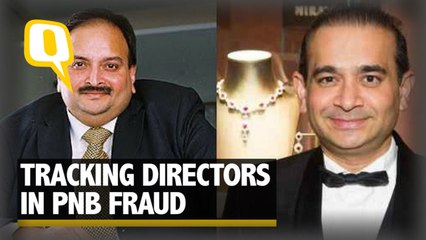 Crorepati or Scapegoat? Tracking Directors Booked in the PNB Fraud
