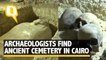 Ancient Necropolis Found in Cairo, With Mummified Organs in Jars