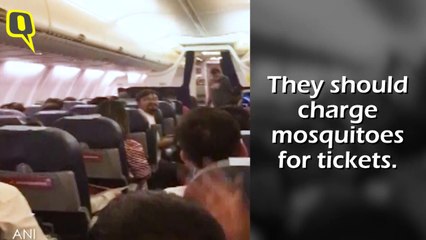 After Bird on a Plane, Now it’s Time for Mosquitoes on a Plane