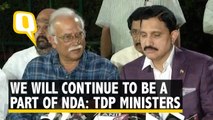 TDP Union ministers, Ashok Gajapathi Raju & YS Chowdary say they will continue to be a part of the NDA