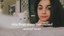Birthday Gal Alia Bhatt Knows How to Love Her Pets