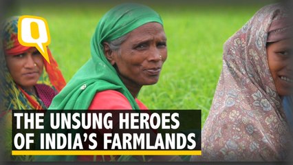 The Neelesh Misra Show: Women Plough The Fileds But Aren’t Farmers