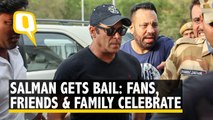 Sallu Bhai gets bail: Friends, Family and Fans can't keep calm