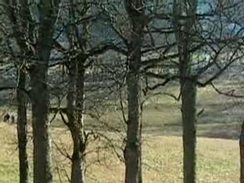 rallye de Monté-Carlo 2008 Hirvonen