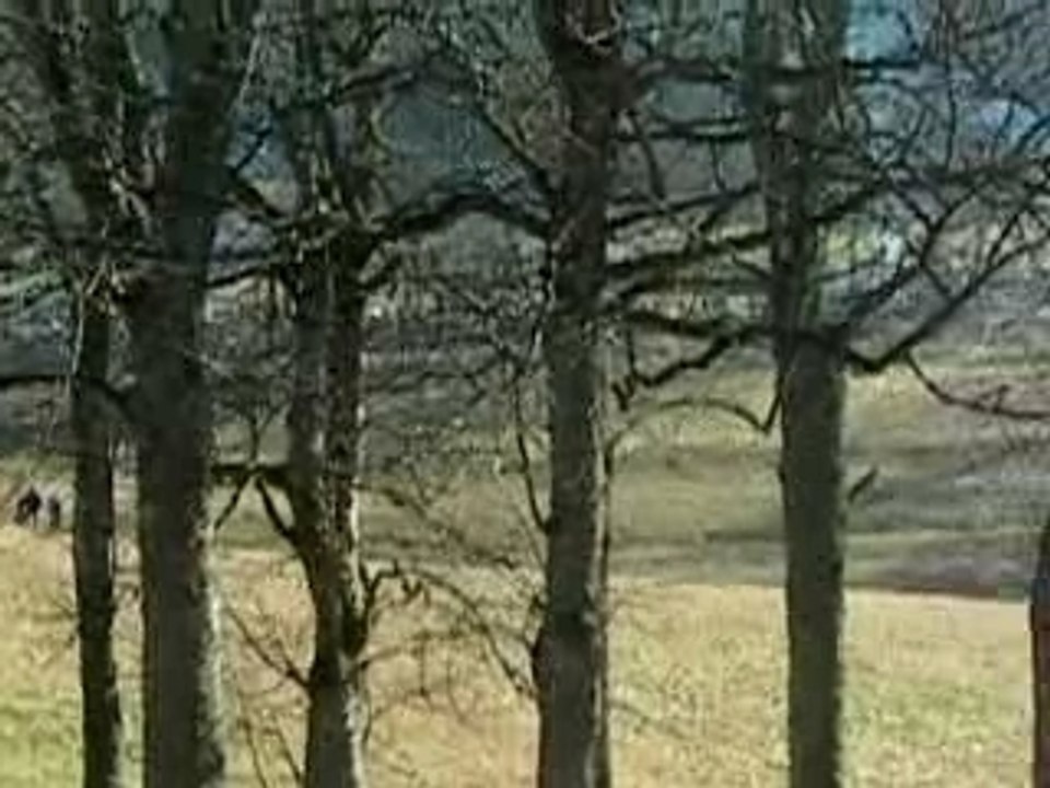 rallye de Monté-Carlo 2008 Hirvonen