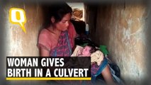 Woman Gives Birth in Culvert as House Was Destroyed by Elephants