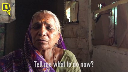 Meet this granny from Gujarat who gave her home to bats
