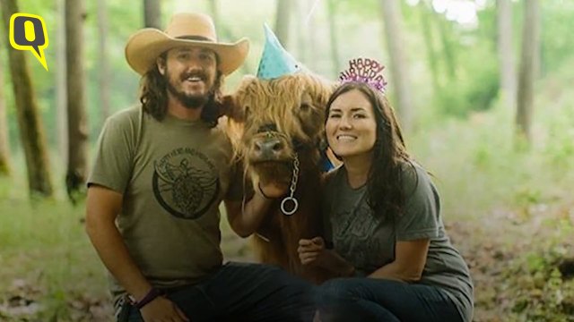 Want to Join James the Cow on His Cool Birthday Party?