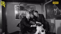Remembering Pickles: The Dog That Saved the 1966 FIFA World Cup, and England’s Face