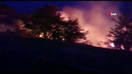 İzmir'de orman yangını devam ediyor