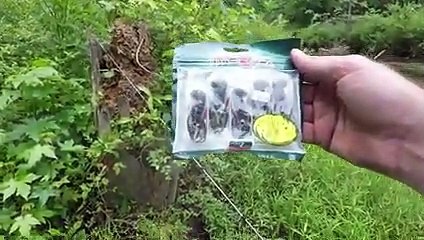 Fishing Shallow Water for Largemouth Bass