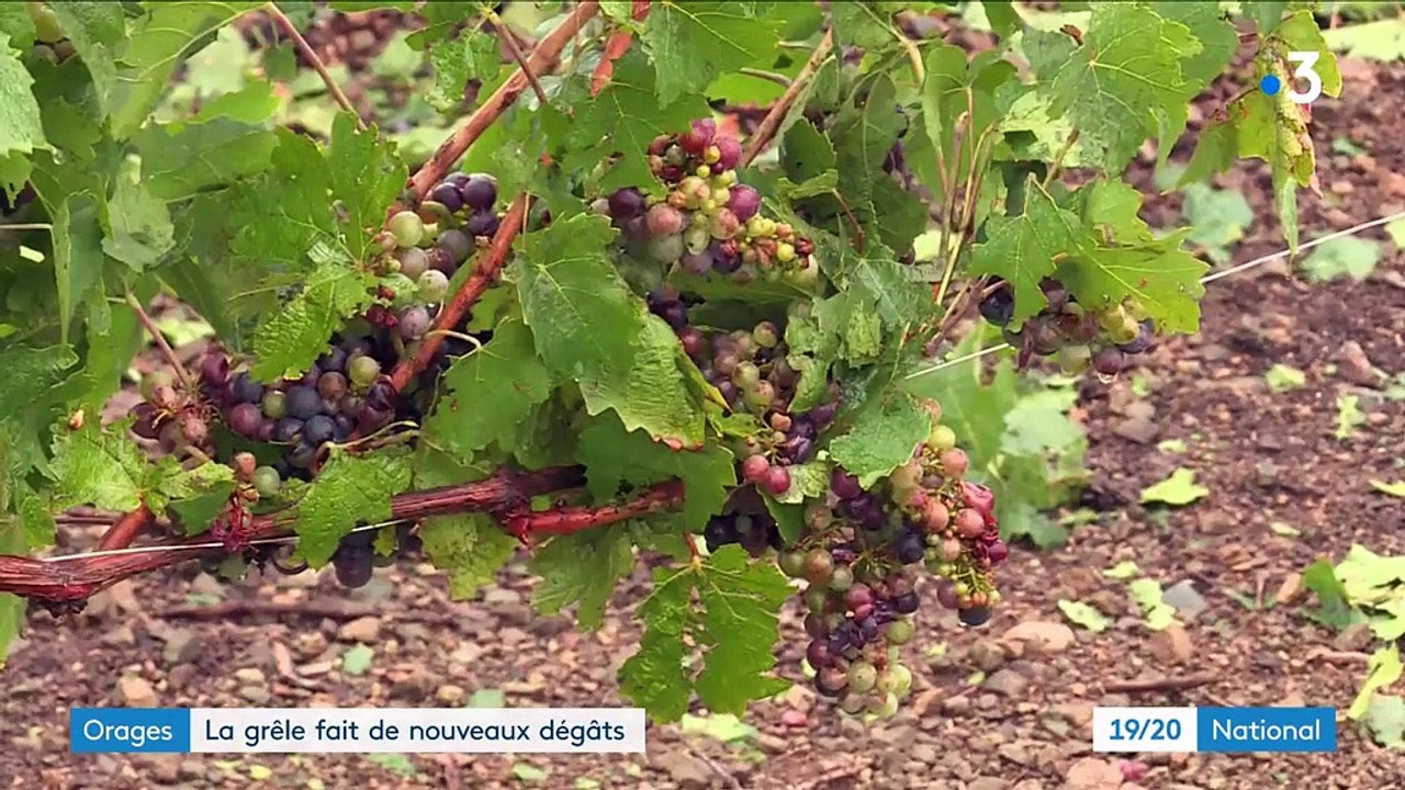 Intempéries : orages et grêle causent d'importants dégâts