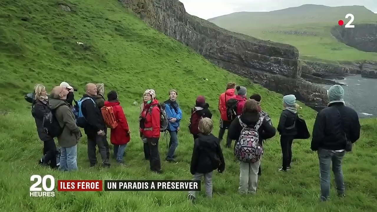 Îles Féroé : les macareux, une espèce en danger