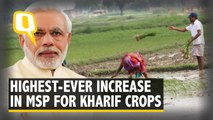 Modi Govt Approves Highest-Ever Increase in MSP for Paddy, Kharif Crops
