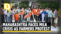 Maharashtra Milk Farmers On a State-Wide Protest, Demand Subsidy Hike