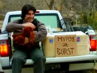 Perfect Strangers: Sheep