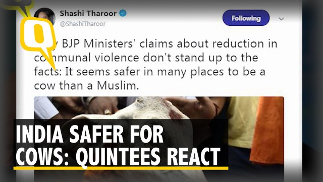 Quintees react to Shashi Tharoor's Tweets About India Being Safer For Cows