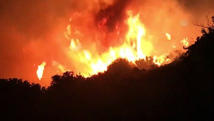 Otluk alanda yangın - HATAY