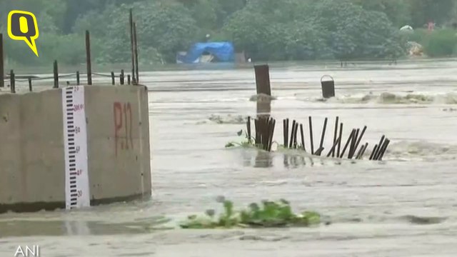 Yamuna Flows Over Danger Mark After Heavy Rains, Water Discharge