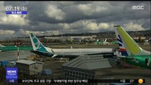 [뉴스터치] 美 일부 항공사, '2번 추락' 보잉 737맥스 운항 계획 논란