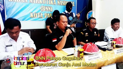 BNN PALOPO GAGALKAN PEREDARAN GANJA ASA MEDAN