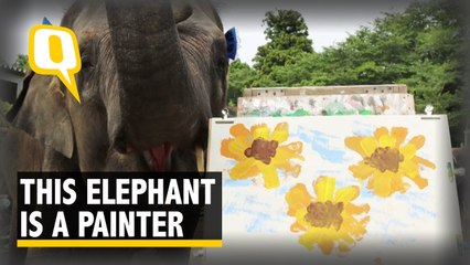 Watch: This elephant from Japan is a painter