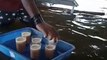 Tea-Seller in Kerala Serves ‘Floating Tea’ in Aftermath of Floods | The Quint