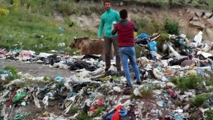 Bozayı meraklılarının 'tehlikeli' özçekimi - KARS