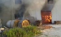 Ascoli Piceno - Fienile in fiamme a Campolungo (21.08.19)