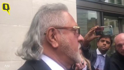 I Met Finance Minister Before Leaving India: Vijay Mallaya