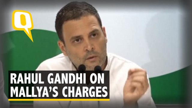 Vijay Mallya and Arun Jaitley Colluded for Escape: Rahul Gandhi