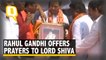 Rahul Gandhi offers prayers to Lord Shiva in Amethi