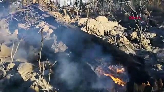 Muğla’daki orman yangınları kısmen kontrol altında