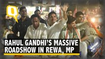 Rahul Gandhi Kick-starts Two-day MP Campaign With Massive Roadshow