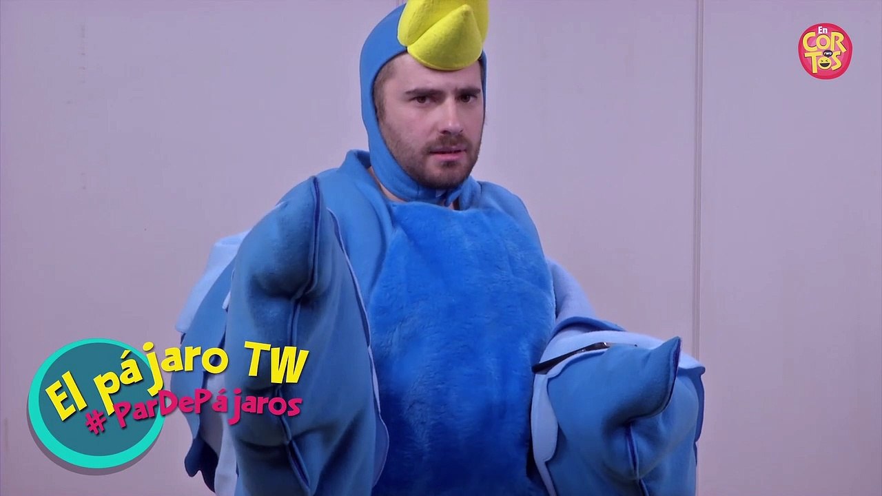 Fernando Sanjiao | El Pájaro de Twitter | Par De Pájaros