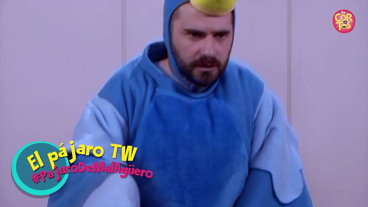 Fernando Sanjiao | El Pájaro de Twitter | Pájaro De Mal Agüero 1