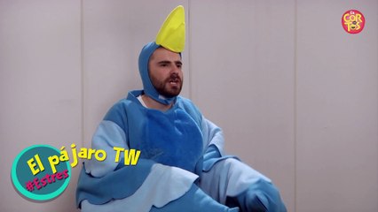 Fernando Sanjiao  | El Pájaro de Twitter | Estres
