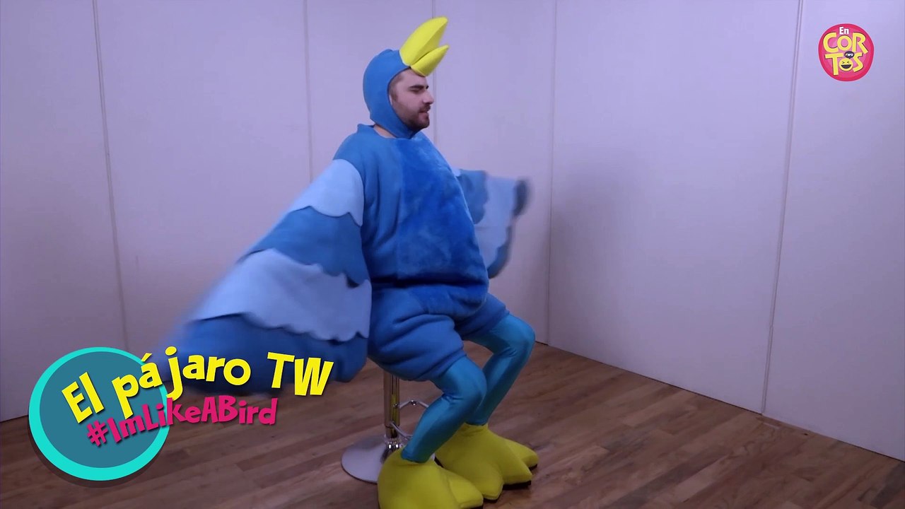 Fernando Sanjiao | El Pájaro de Twitter | I amm Like A Bird