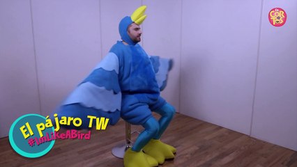 Fernando Sanjiao | El Pájaro de Twitter | I amm Like A Bird