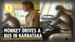 Monkey Drives State-Owned Bus in Karnataka, Driver Removed from Duty