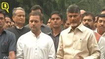 We Are Coming Together To Save The Nation: Chandrababu Naidu After Meeting Rahul Gandhi