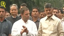 We are Coming Together To Work, All Opposition Forces Must Unite: Rahul Gandhi After Meeting Chandrababu Naidu